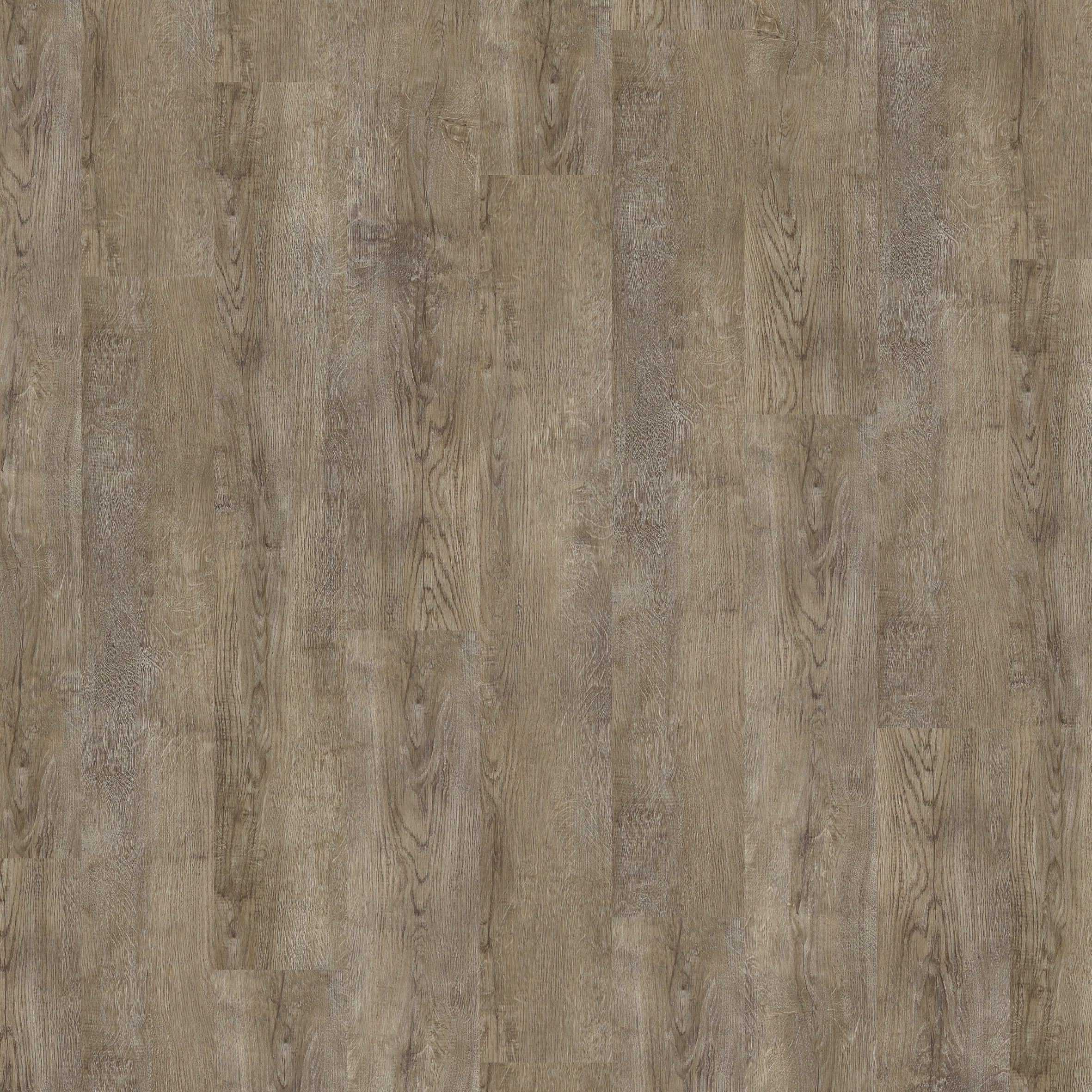 Victoria Design Floors Click LVT Flooring in Universal 55 Feather Grey Plank Wood Effect 50756-07 - 2.21m2 Full Pack